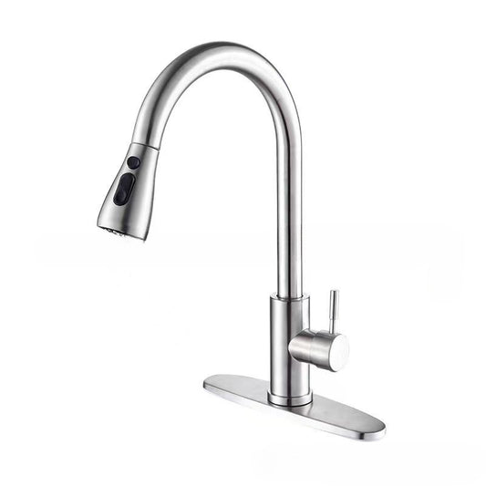 304 Stainless Steel Pull-Out Kitchen Faucet with Dual Outlet