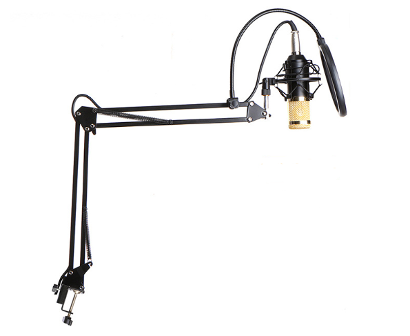 Microphone Karaoke Condenser Mic Kit