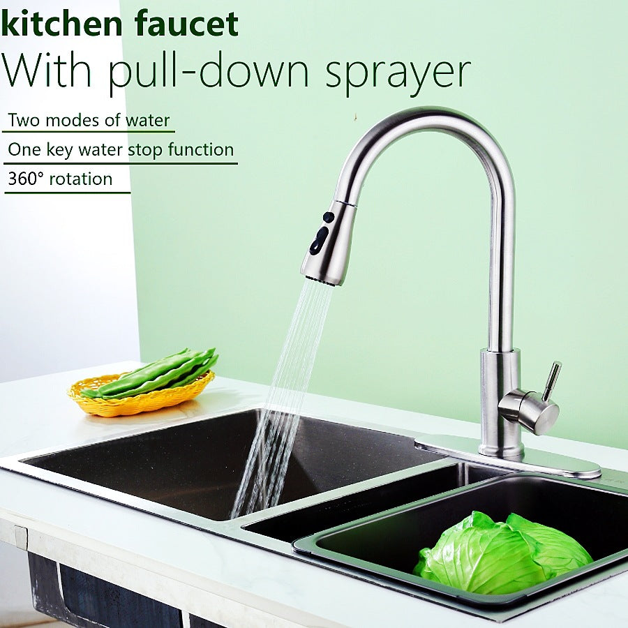 304 Stainless Steel Pull-Out Kitchen Faucet with Dual Outlet