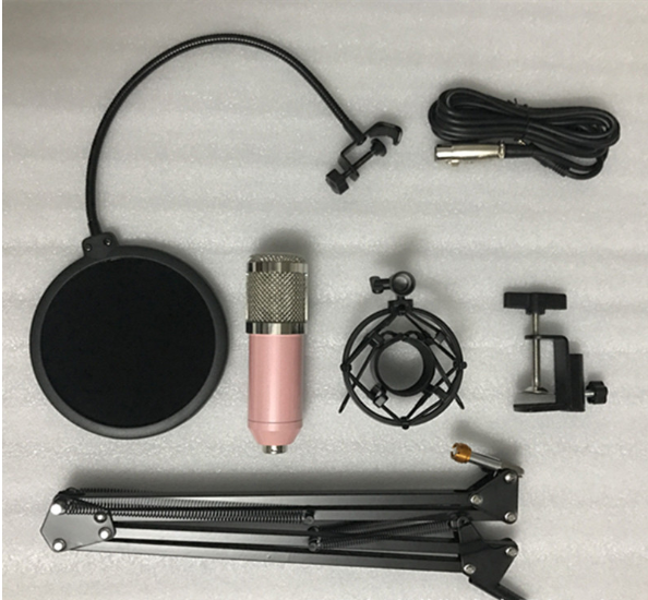 Microphone Karaoke Condenser Mic Kit
